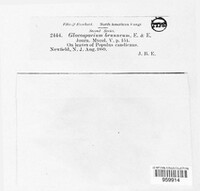 Drepanopeziza brunnea image